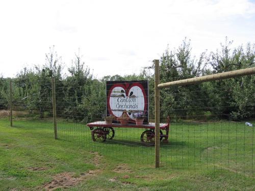 Carlson’s Apple Orchard deer exclusion fence