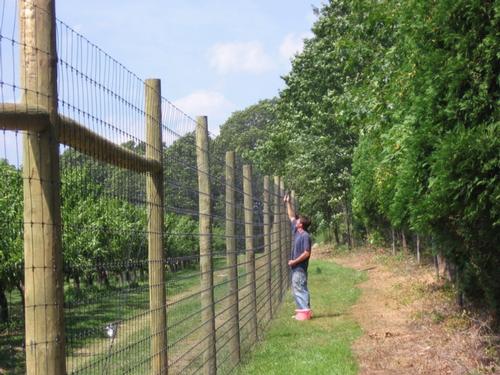 Securing woven wire to fence posts