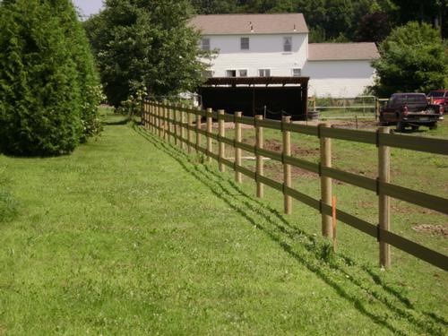 Horse Fence