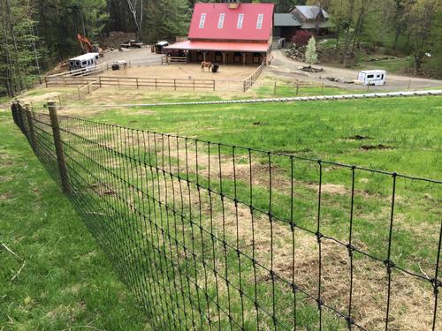 Multi-species fence for horses
