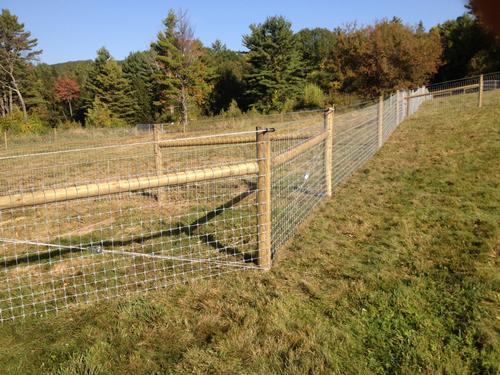 multi-species fence with paddock divisions