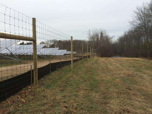 Solar field fence