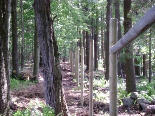 Building deer exclusion fence in wooded area