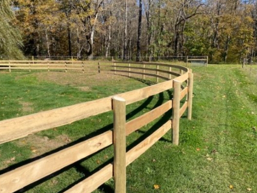 Board Horse Fence